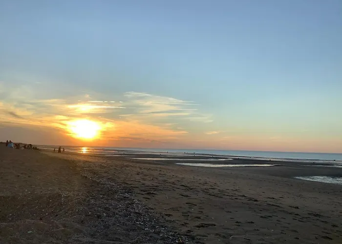 Scidesdunes * Merville-Franceville-Plage