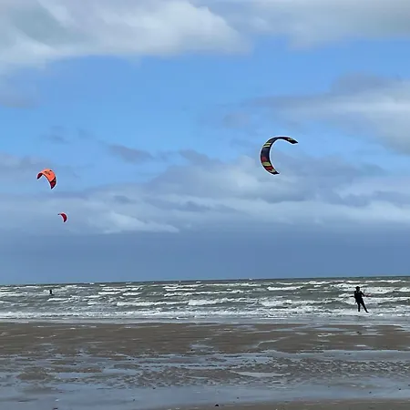 Scidesdunes Apartmán *